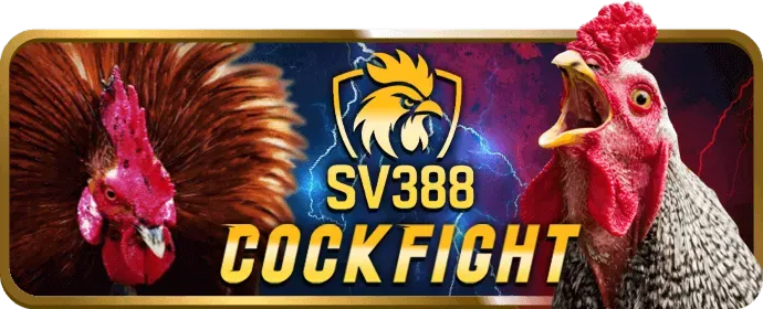 Ưu Đãi VIP D88
